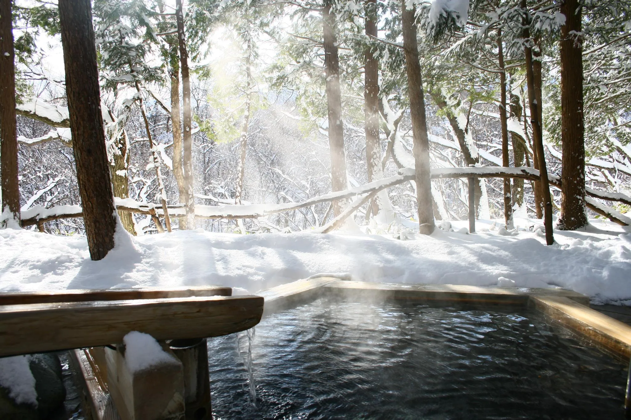 冬の愉しみ、雪見風呂。