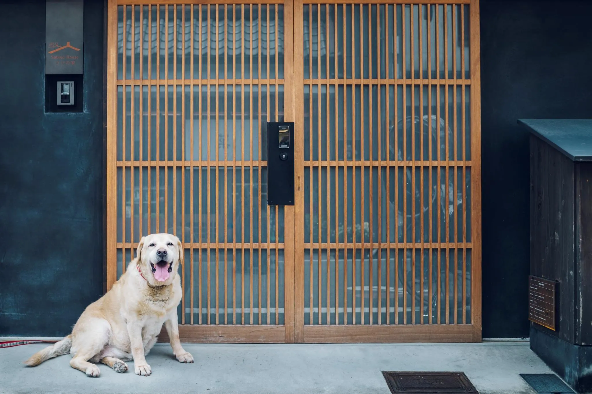 さびの家　ドッグフレンドリー　大型犬歓迎　京都