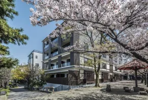 京都で桜色に染まる春