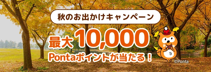 キャンペーンバナー