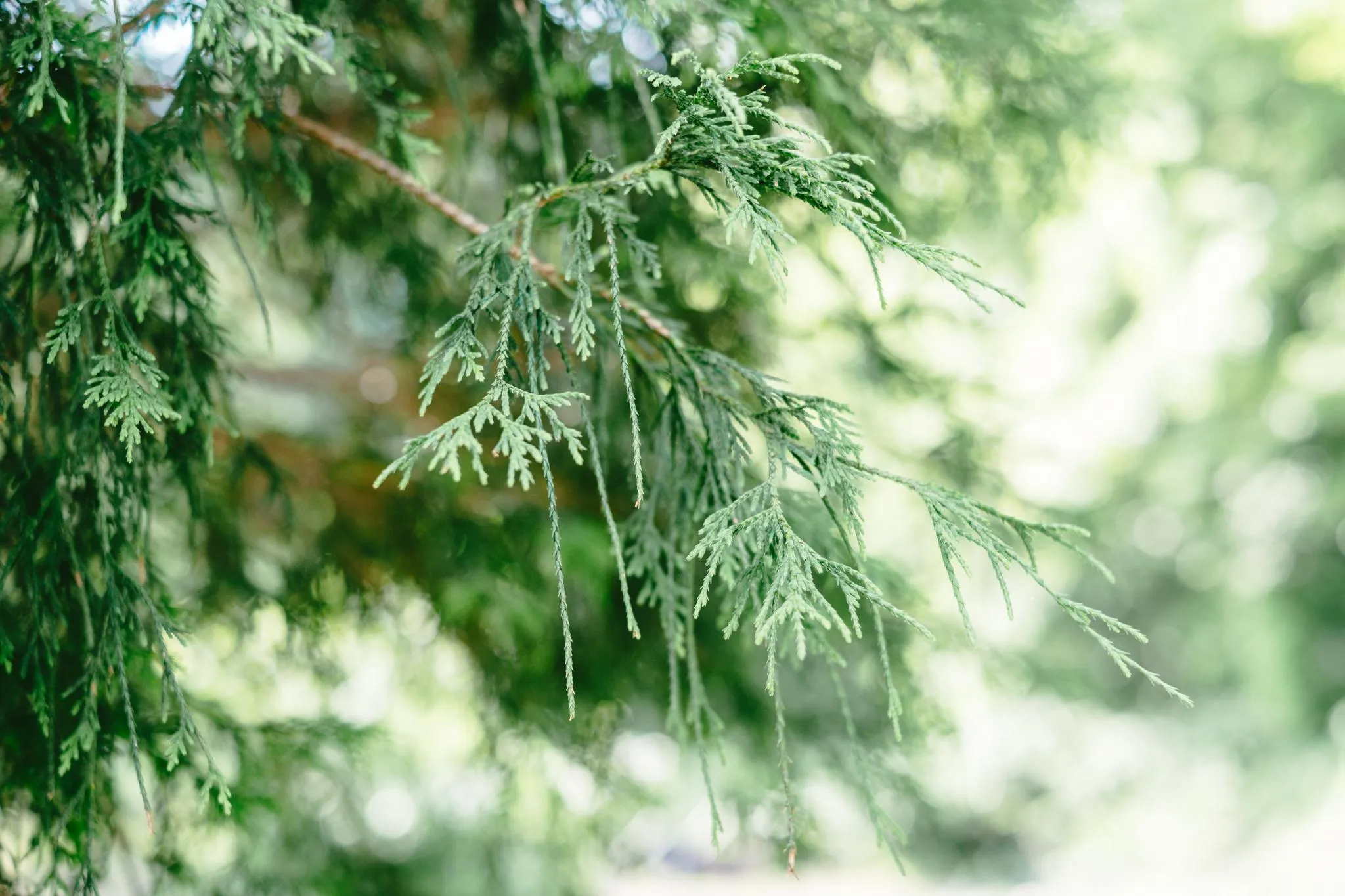 祭畤温泉 かみくら