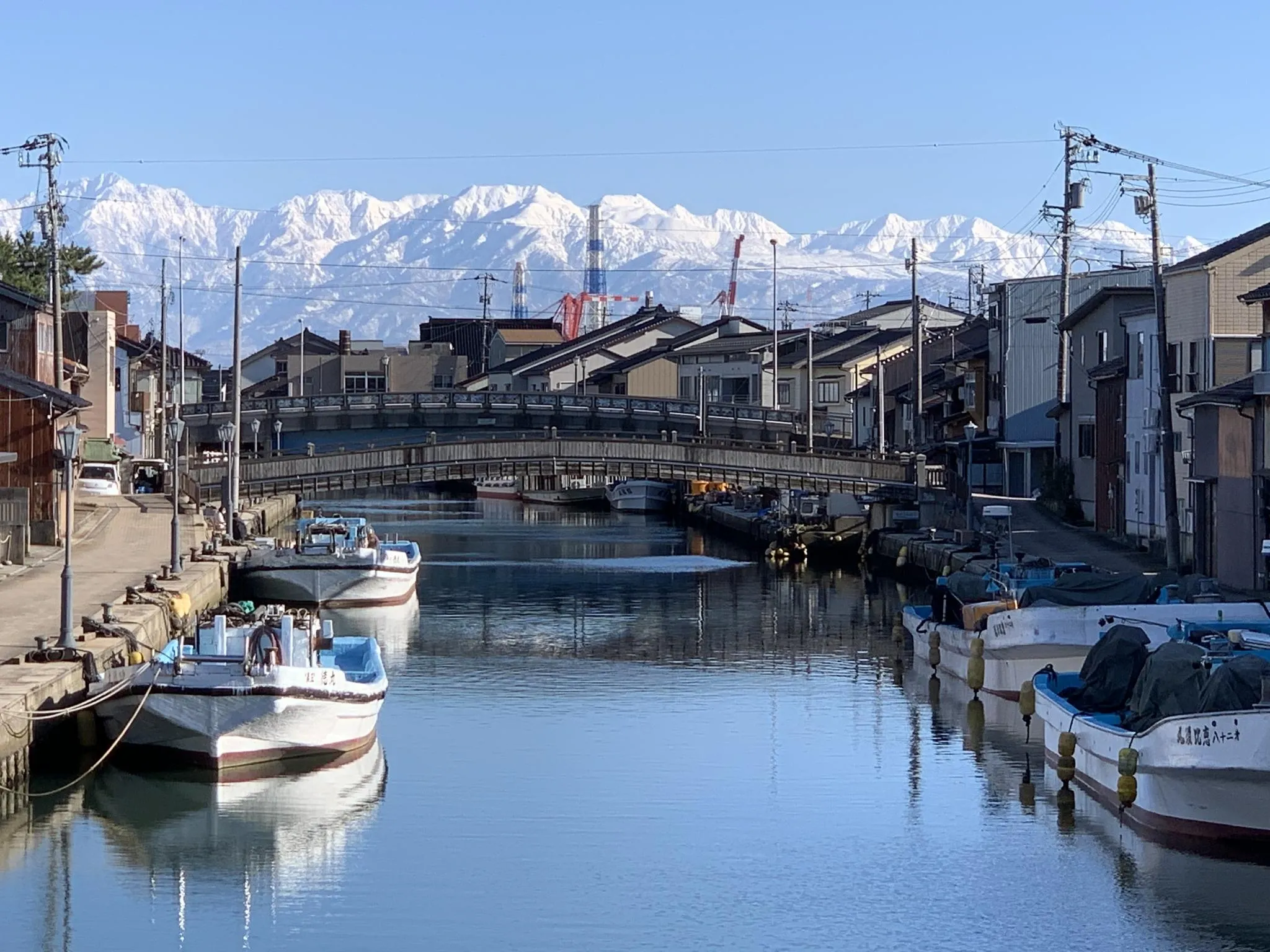 水辺の民家ホテル カモメとウミネコ
