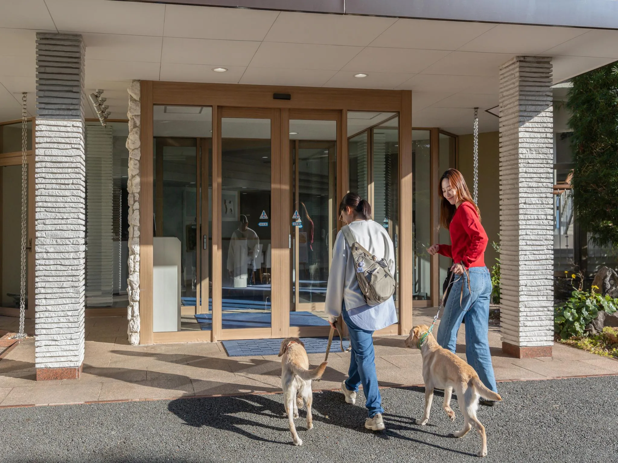 わんわんパラダイス プレミア 伊豆高原