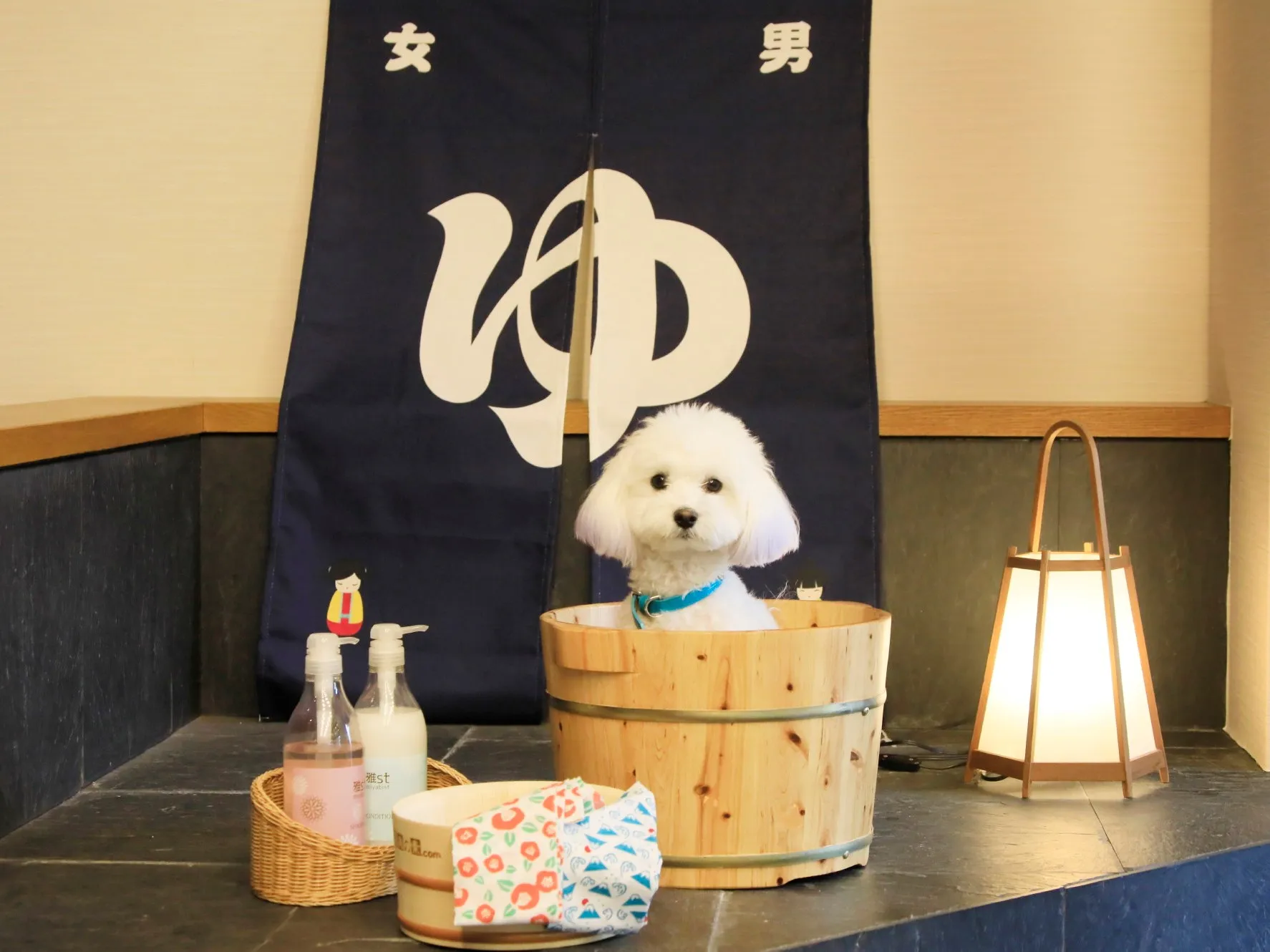 別府 丘と海のドッグリゾート（旧 別府風雅）