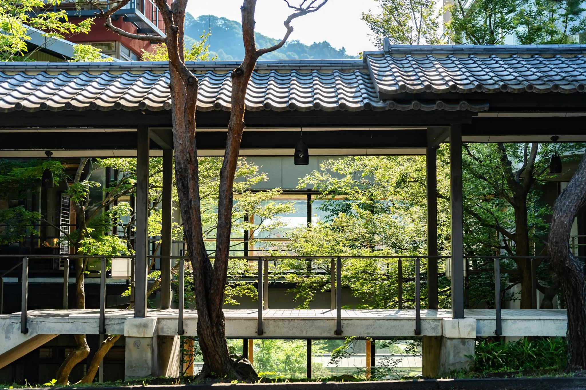 源泉湯の宿 松乃井