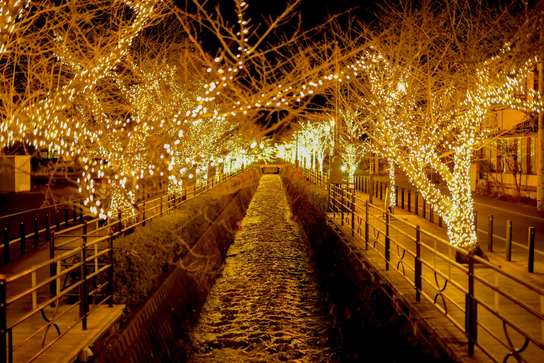 甲州牛の宿 石和温泉 石和常磐ホテル