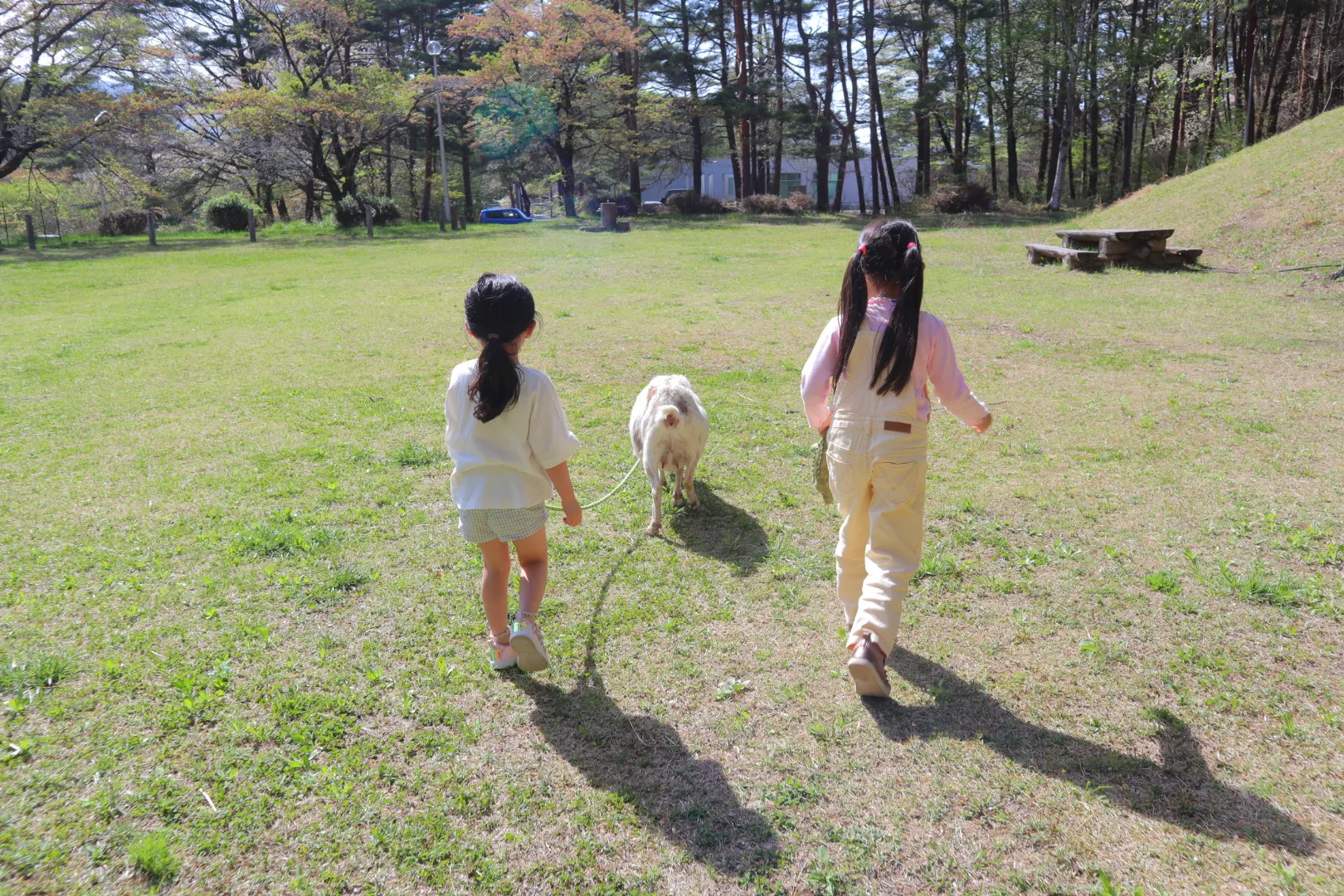 八ヶ岳 ホテル風か