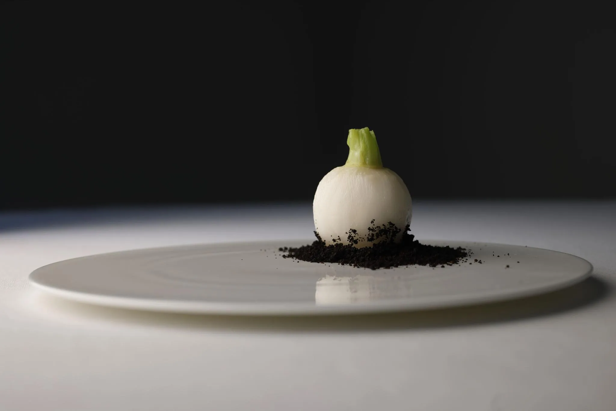 HOTEL 白林 HAKODATE