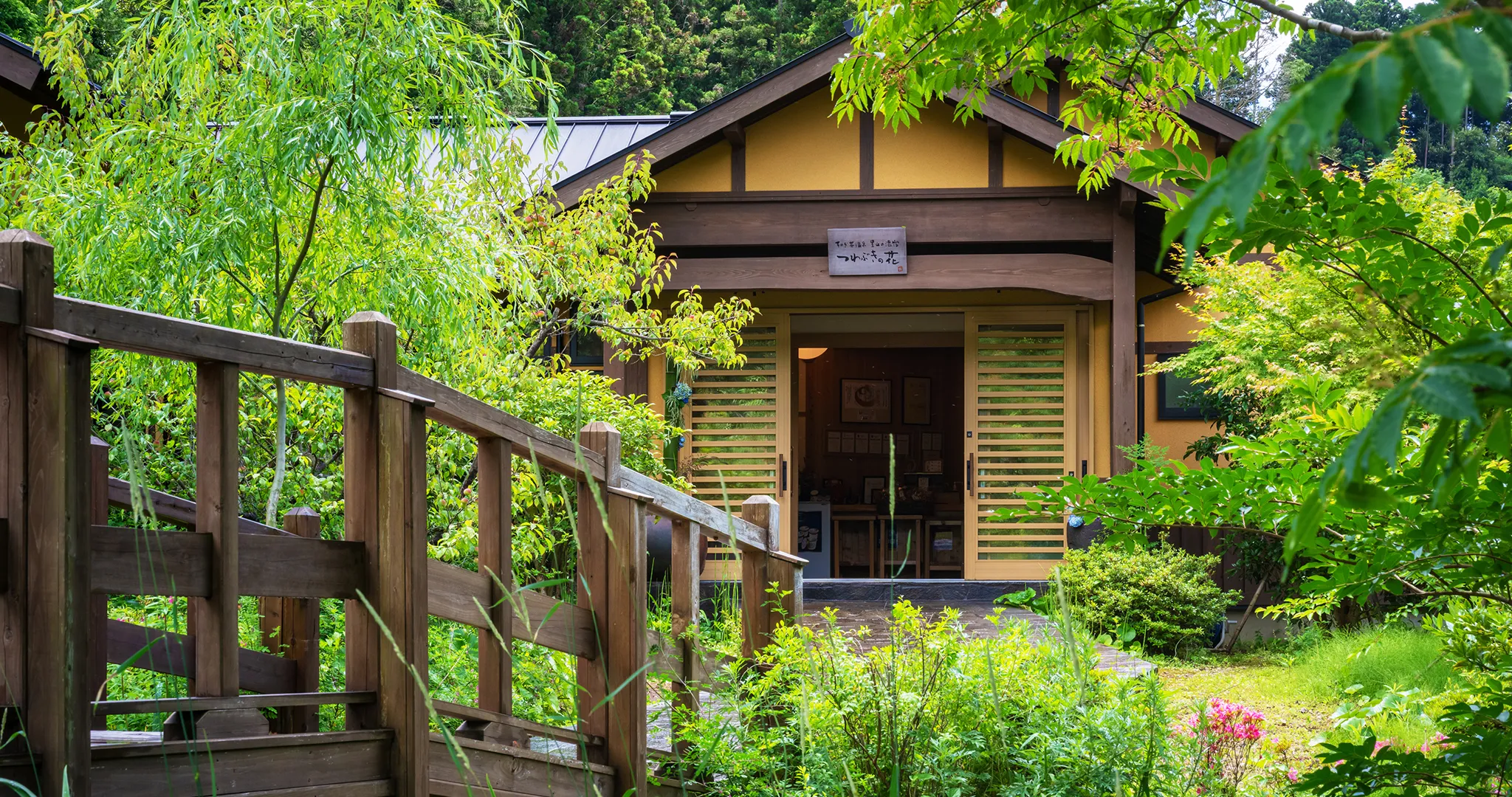 そのぎ茶温泉 里山の湯宿 つわぶきの花
