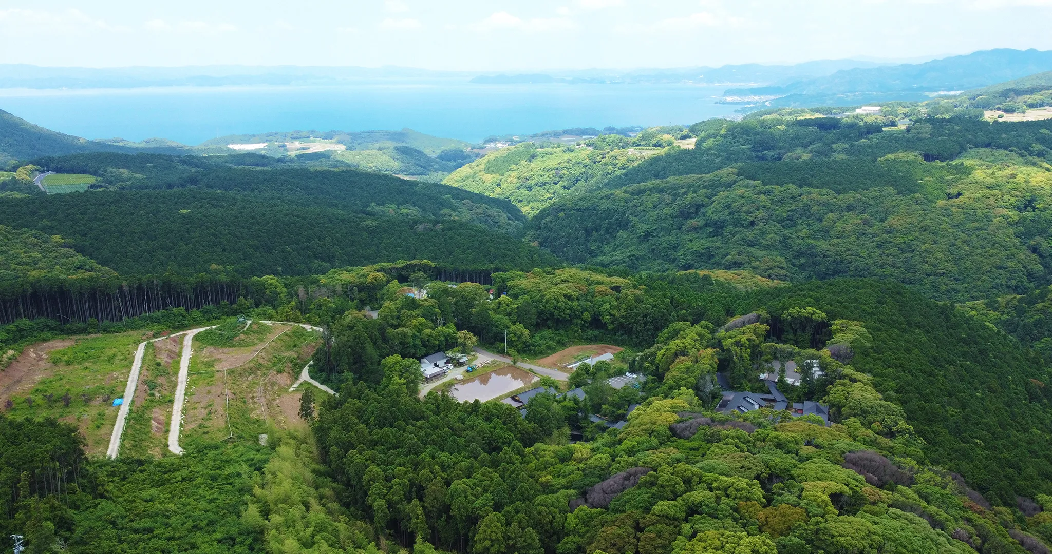 そのぎ茶温泉 里山の湯宿 つわぶきの花