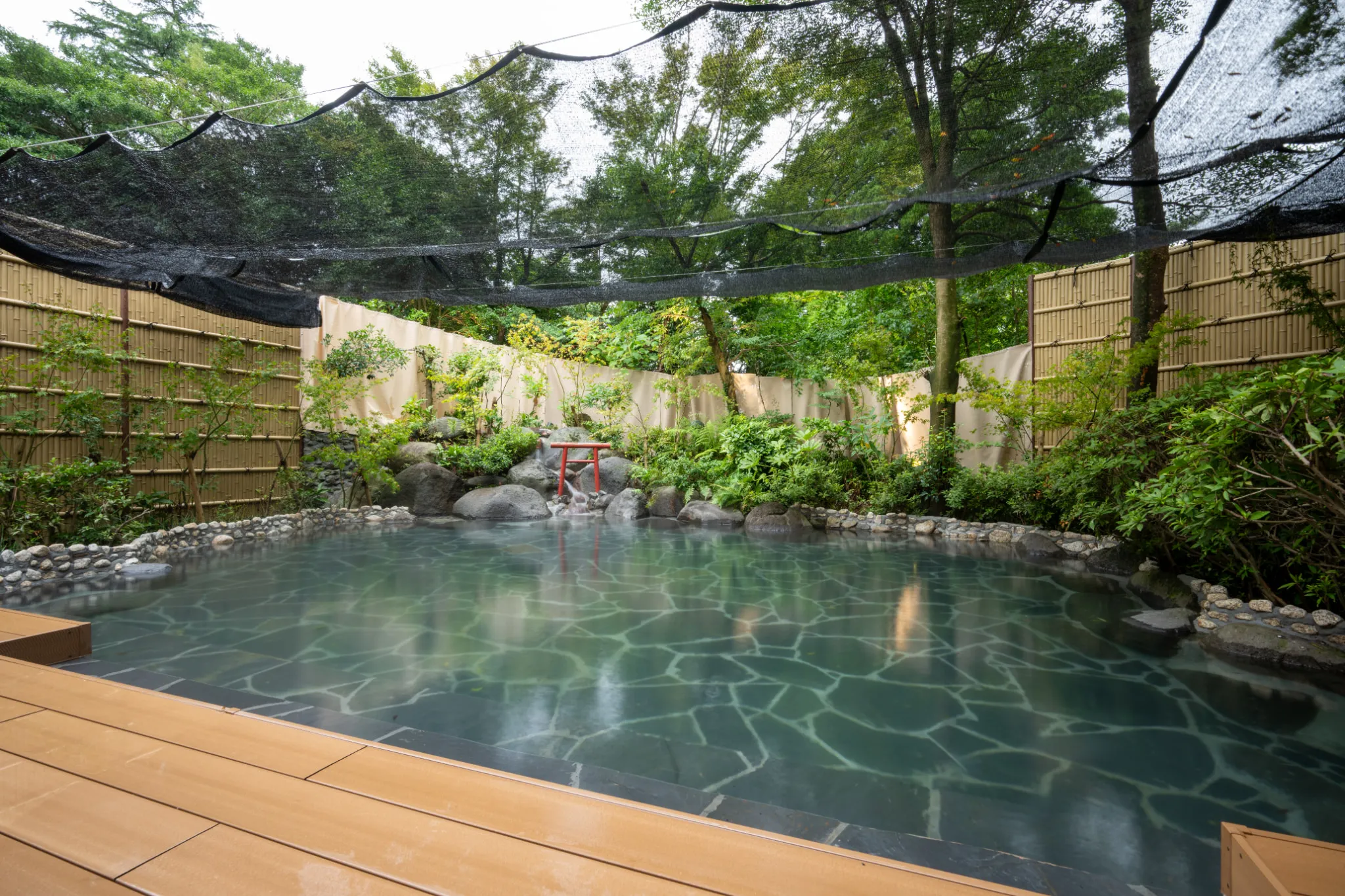 ザ・パルス霧島