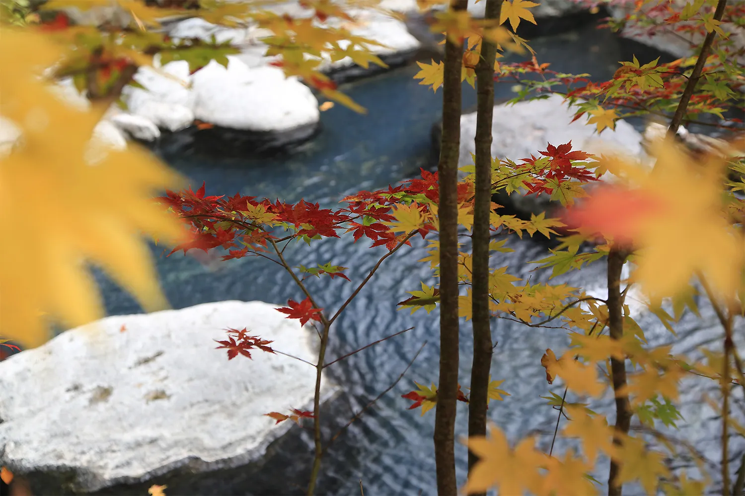 奥鬼怒温泉郷 八丁の湯