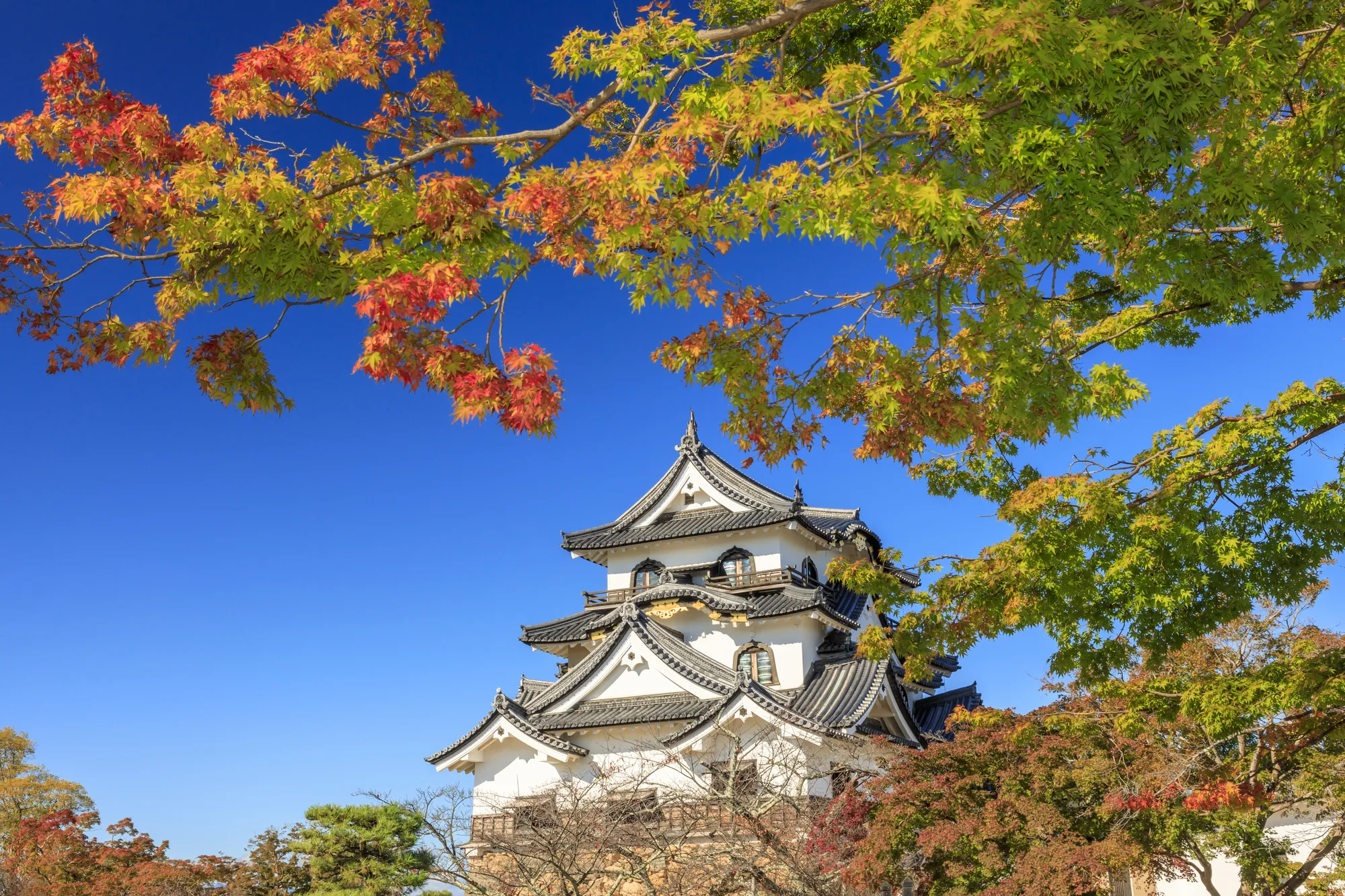 滋賀・彦根に行ったら訪れたい！歴史を感じる観光スポット7選