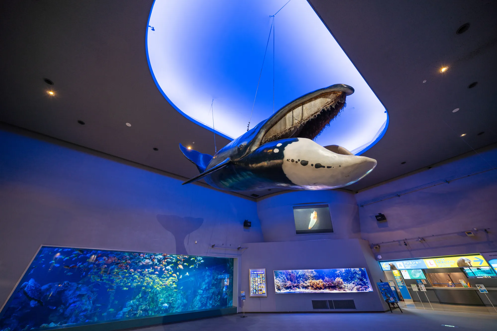 鳥羽水族館