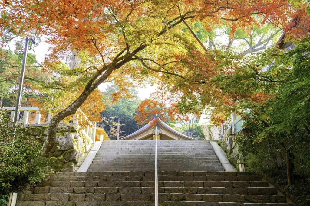 宝満宮竈門神社