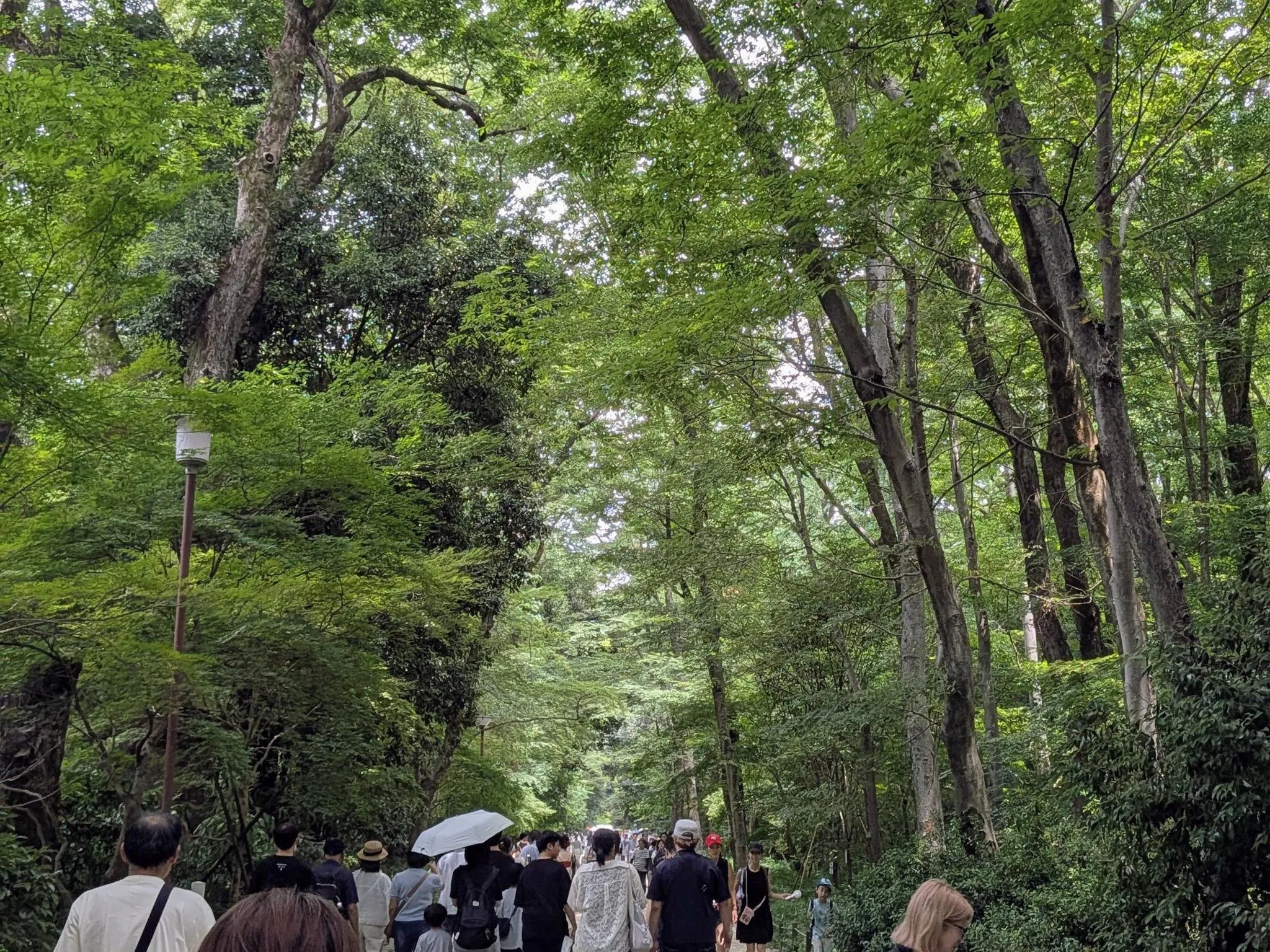 下鴨神社