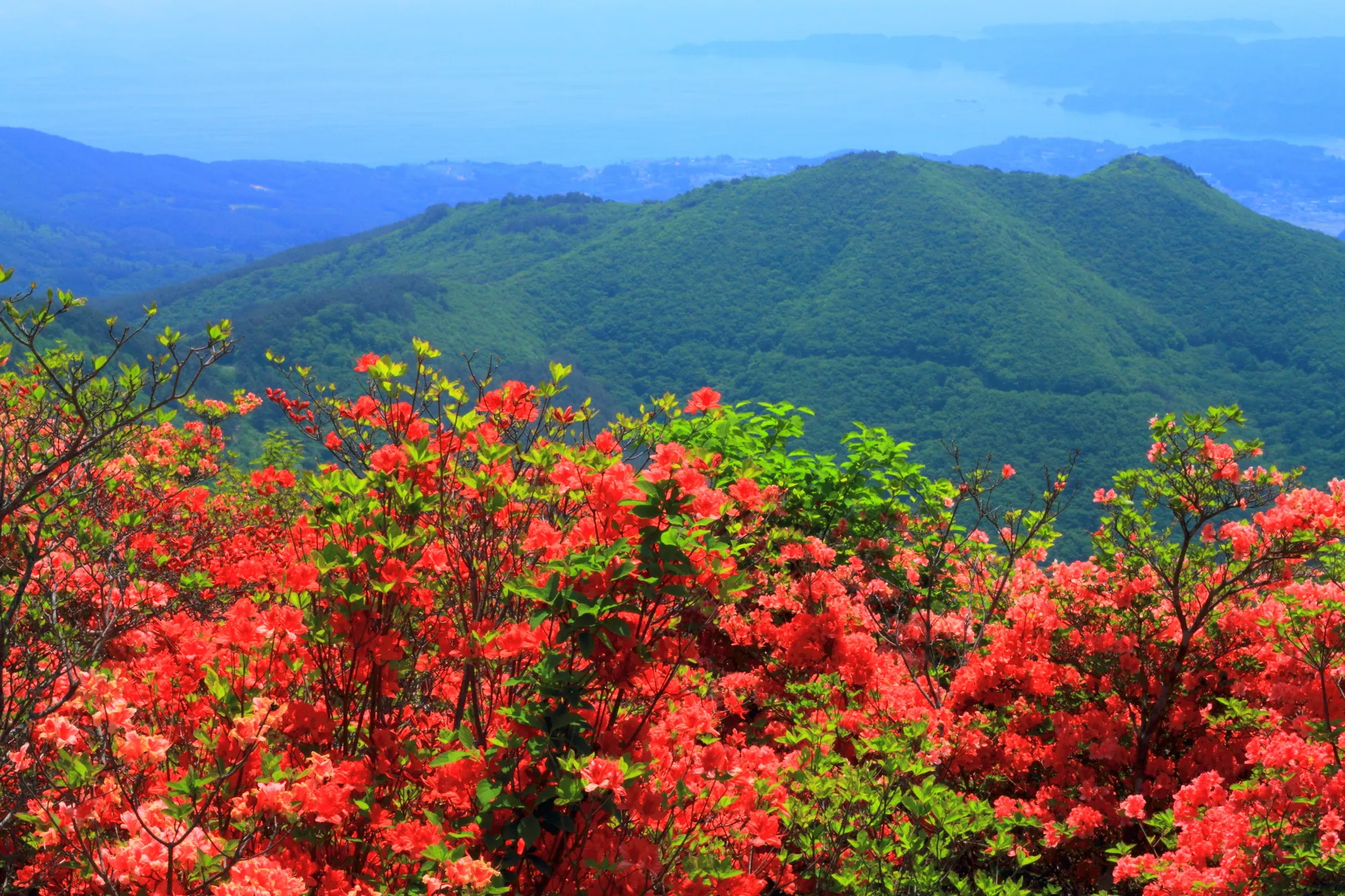 徳仙丈山