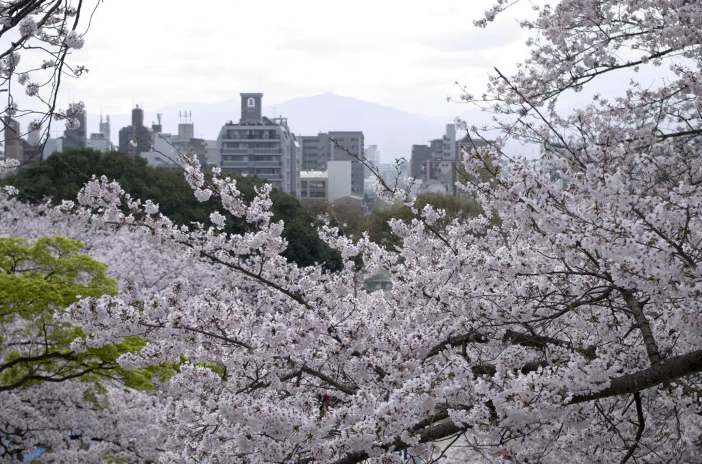 西公園