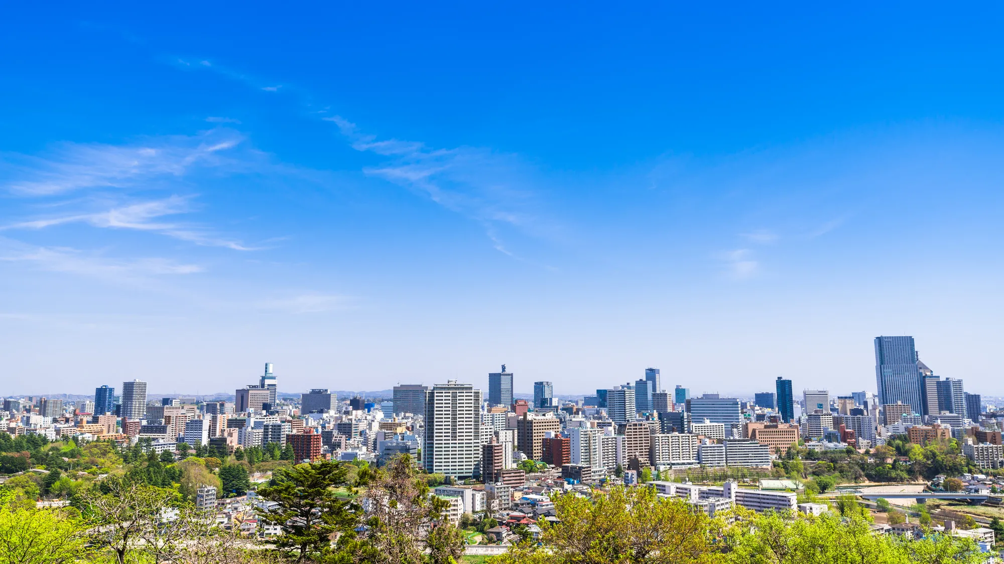 仙台城跡