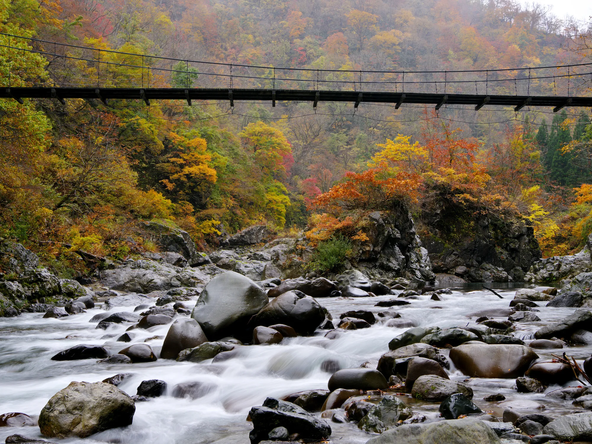 見倉橋