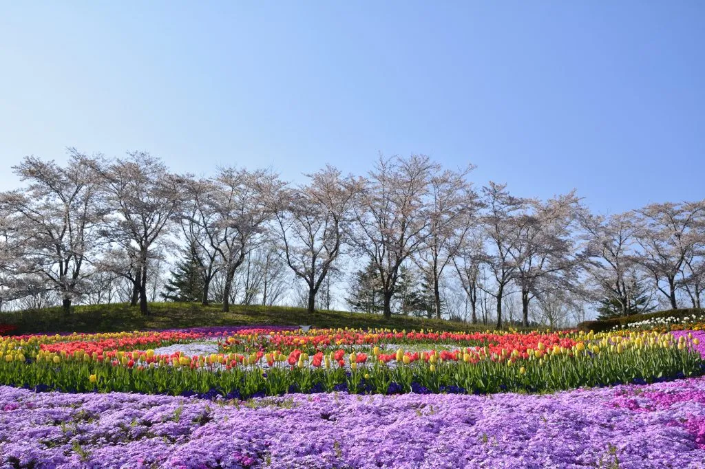 国営みちのく杜の湖畔公園