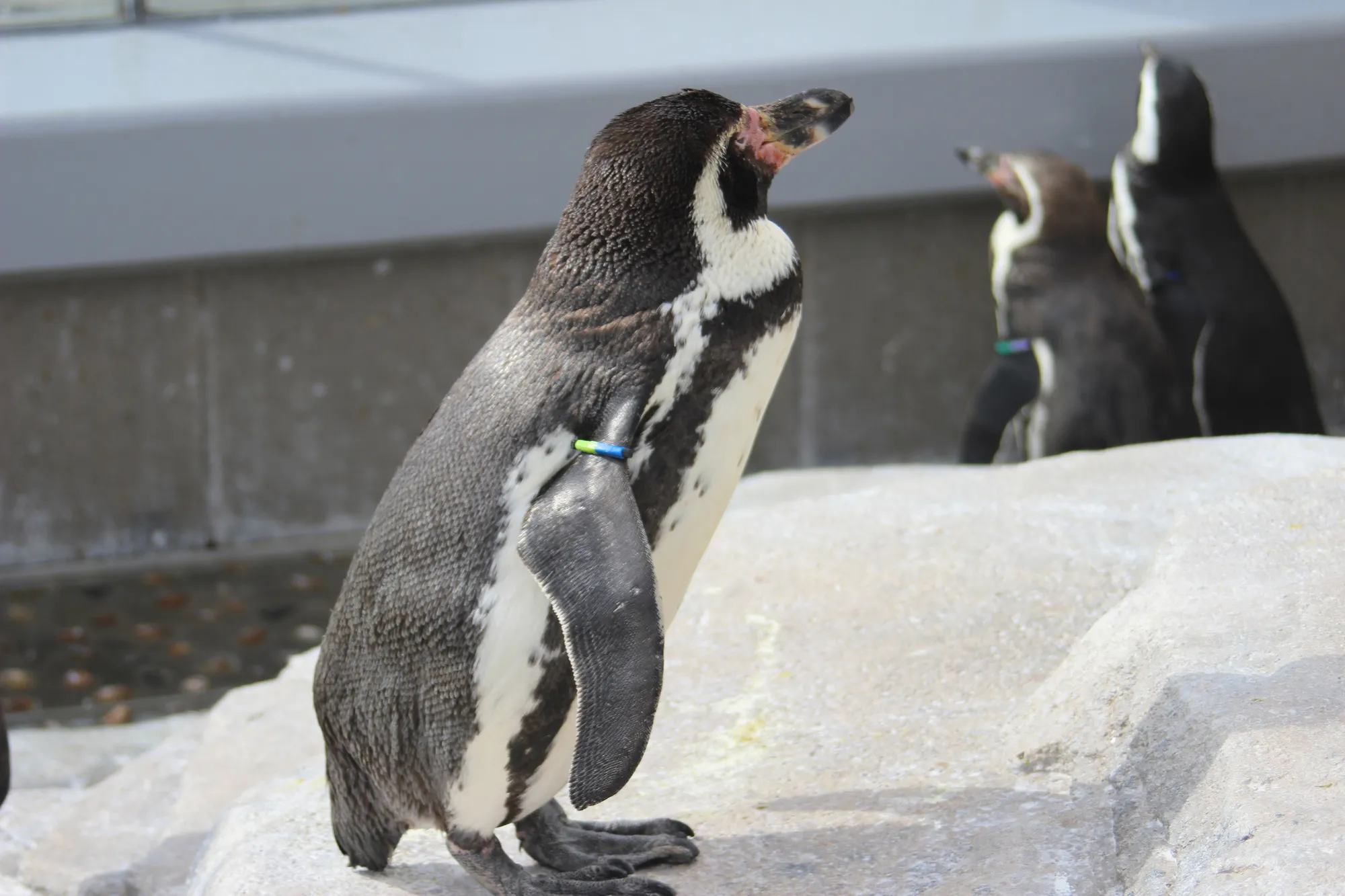 仙台うみの杜水族館