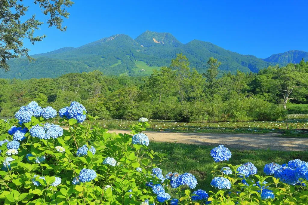 妙高山