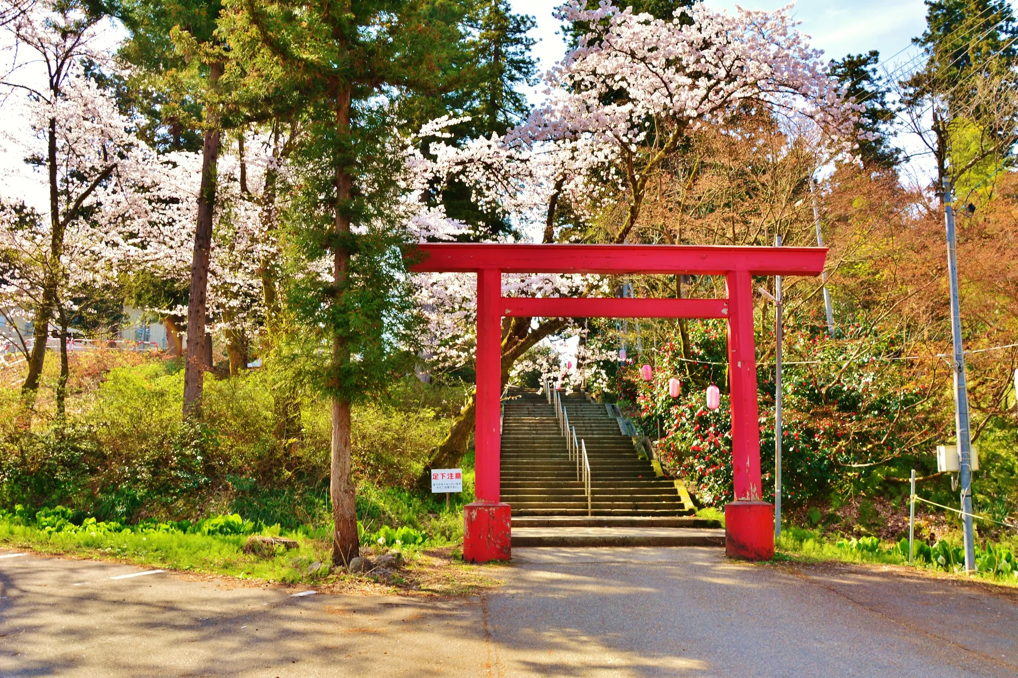 蒼紫神社