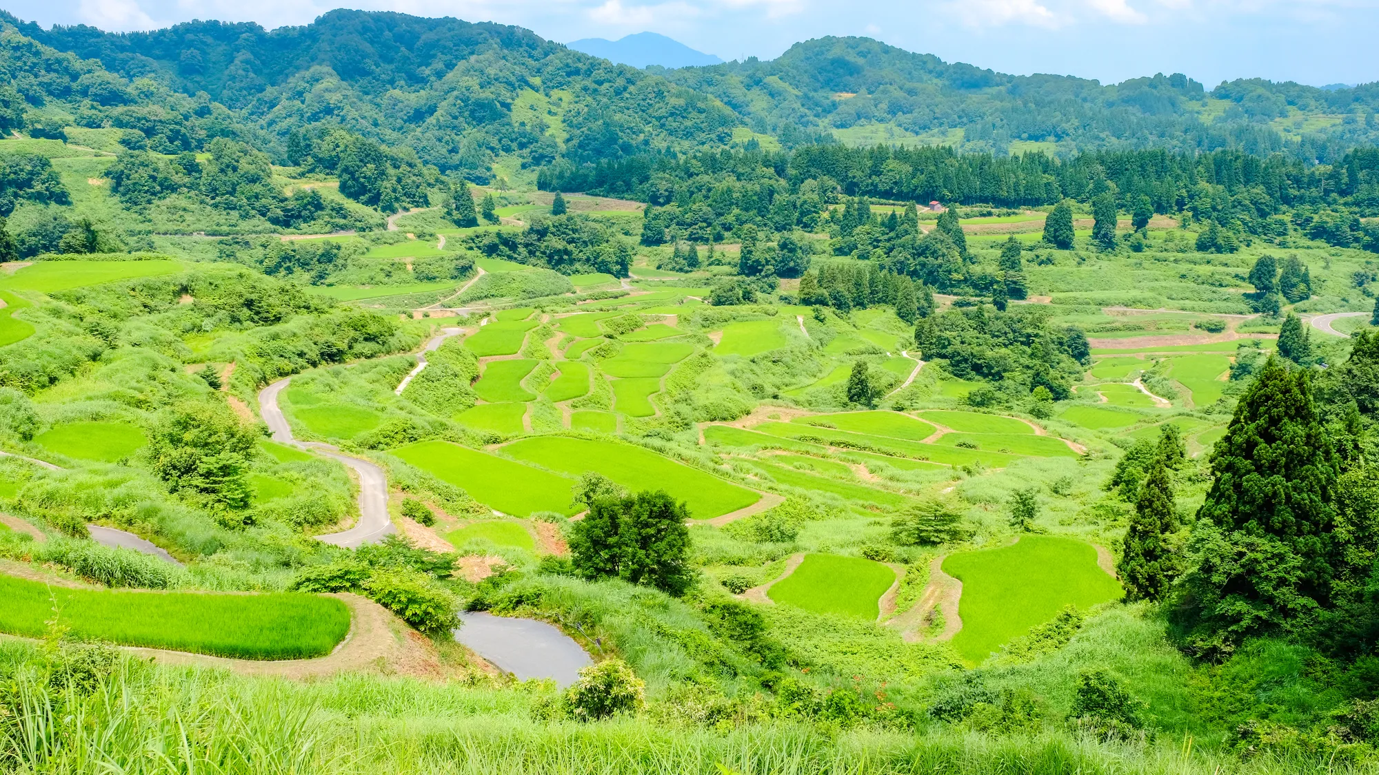 星峠の棚田