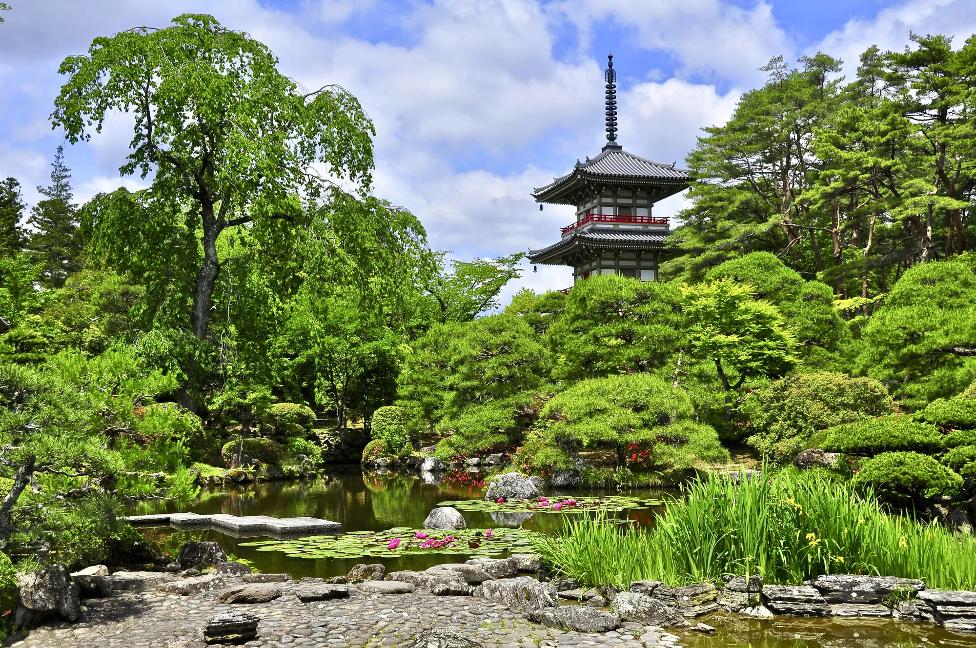 曹洞宗金剛宝山 輪王寺