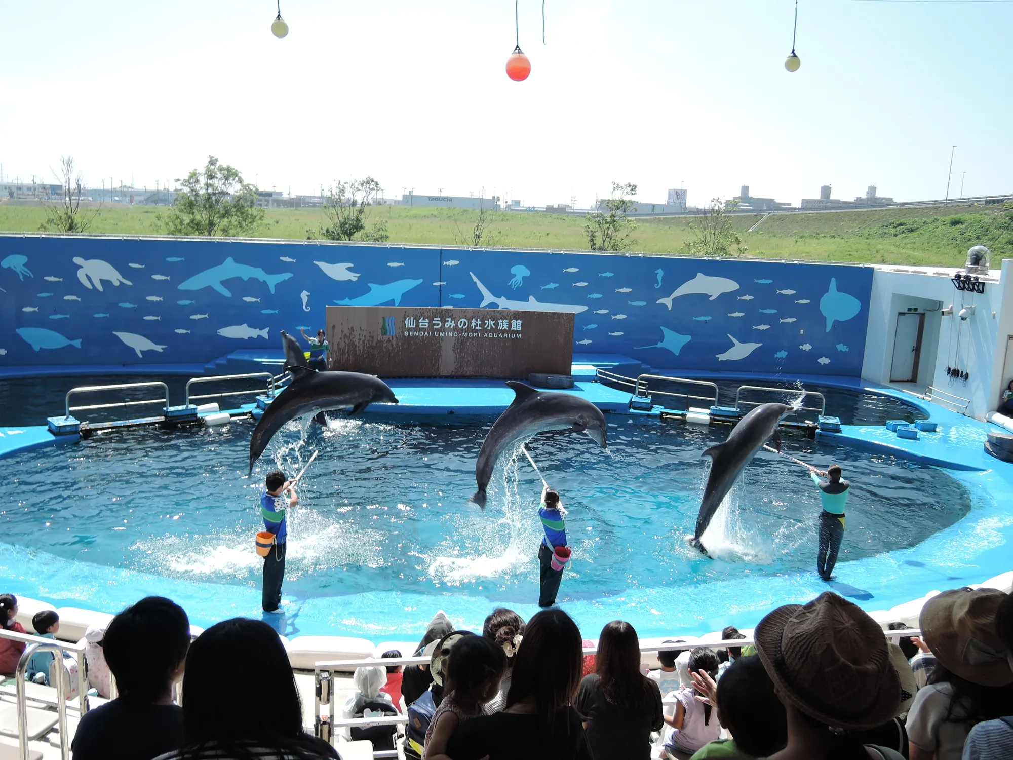 仙台うみの杜水族館