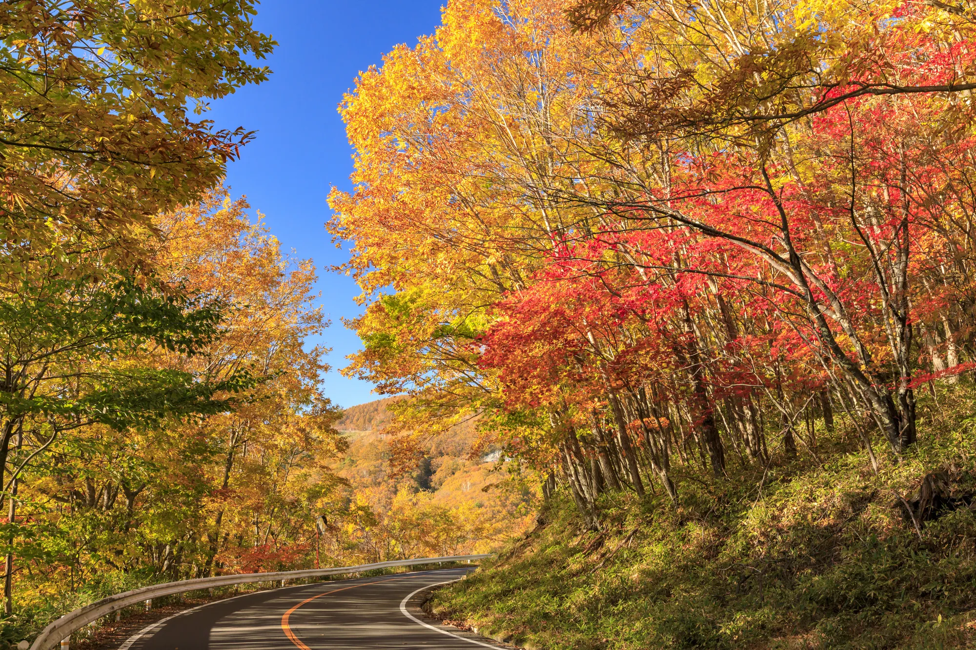 観光する アーカイブ 8ページ目 19ページ中 Relux Journal