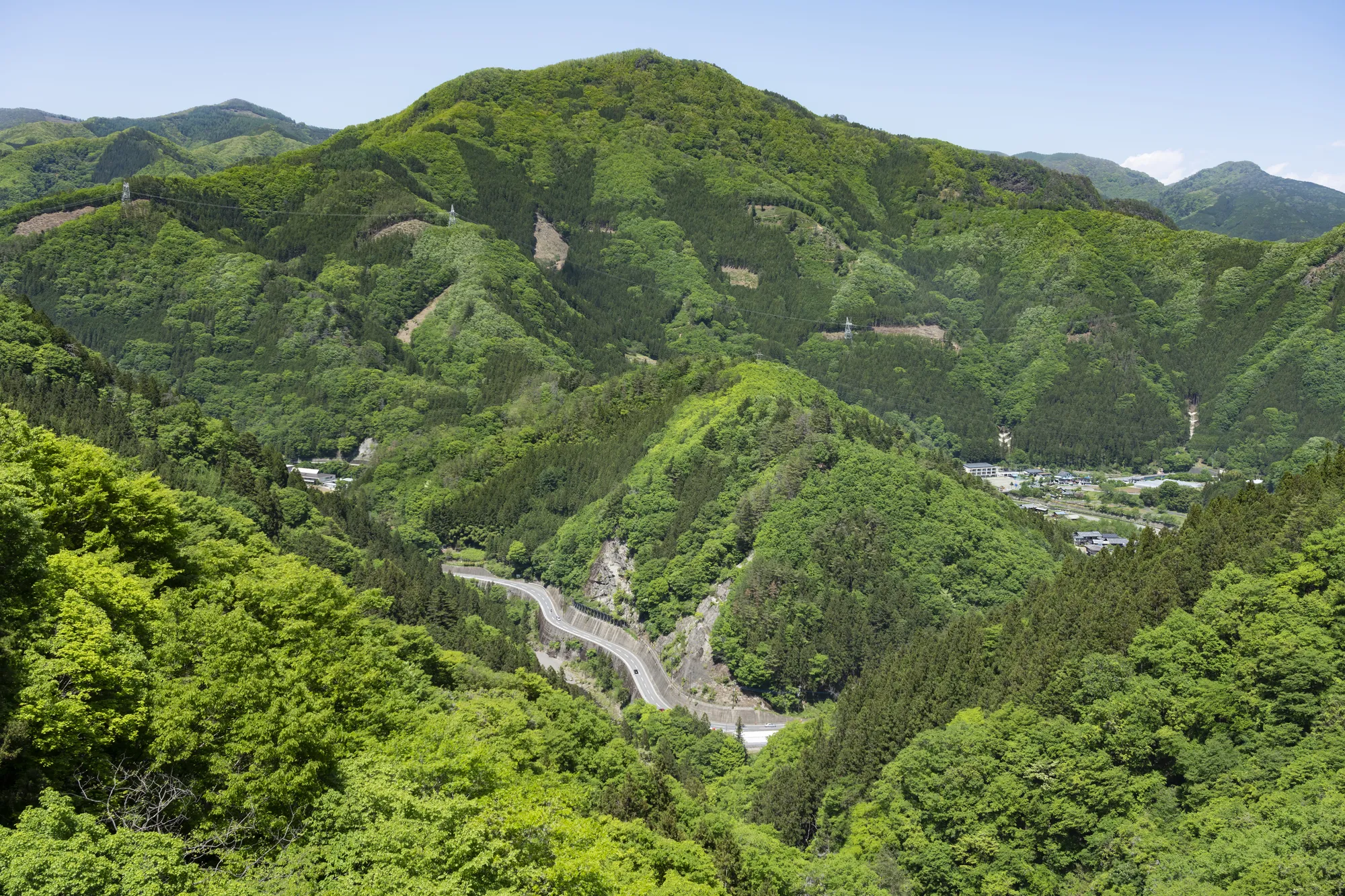 上野村