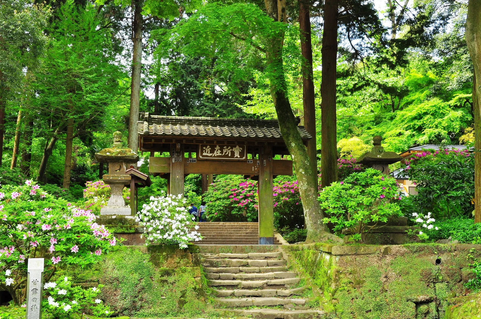 見所たくさん 北鎌倉のおすすめ観光スポット5選 Relux Journal