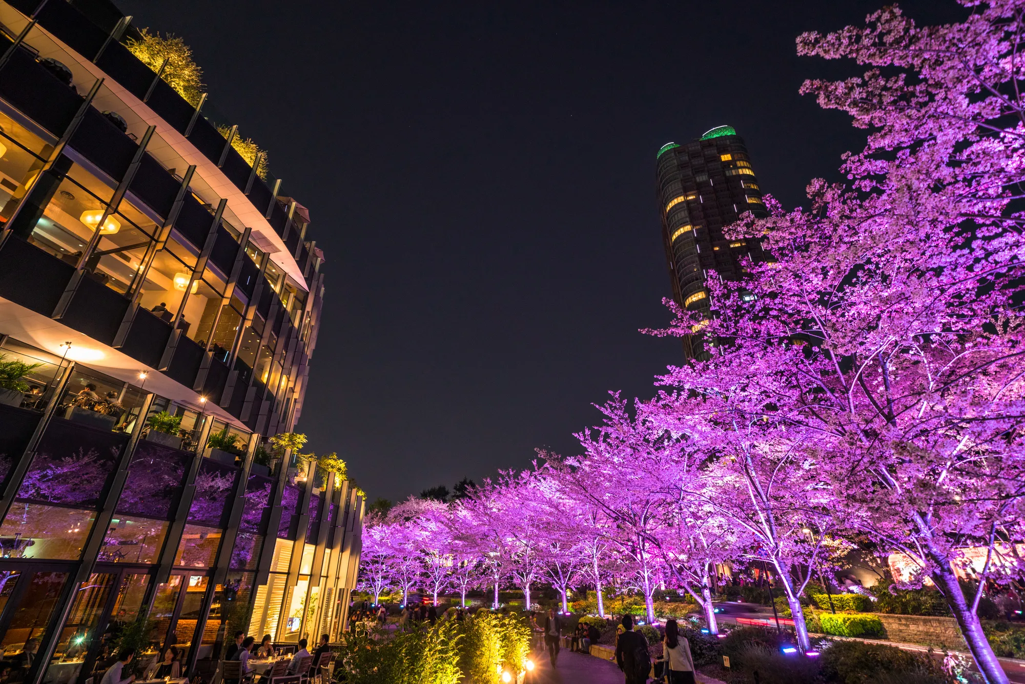 東京ミッドタウン