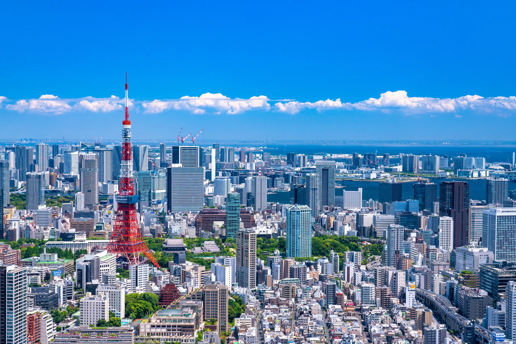 東京観光はここを押さえて！定番からシーン別までおすすめ観光スポット40選 - Relux Journal