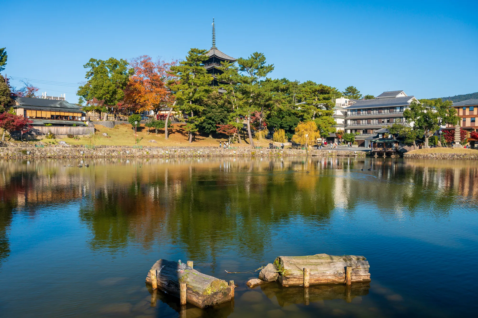 奈良公園を巡ろう 奈良公園周辺でおすすめの観光スポット10選 Relux Journal