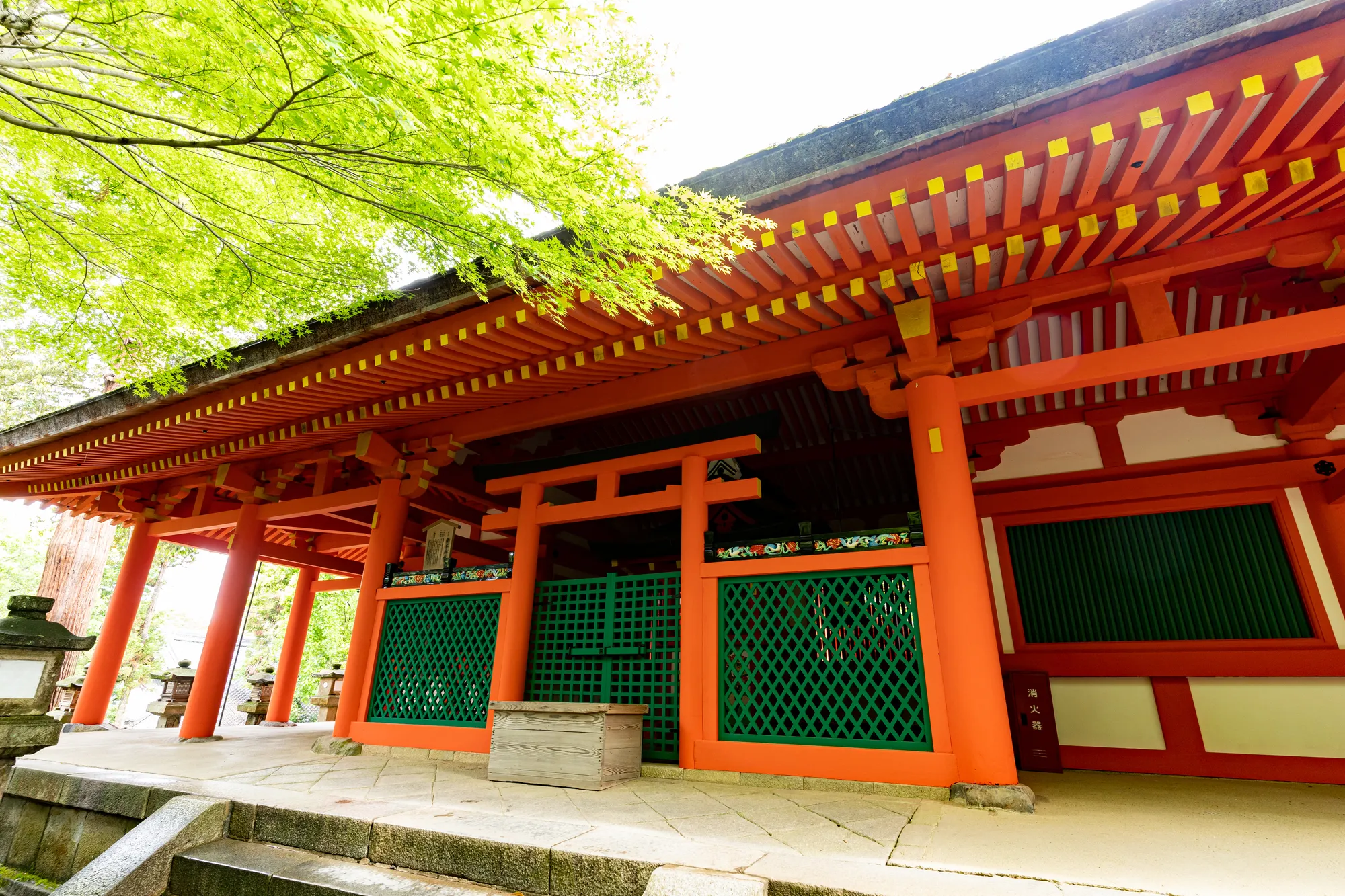 奈良公園を巡ろう 奈良公園周辺でおすすめの観光スポット10選 Relux Journal