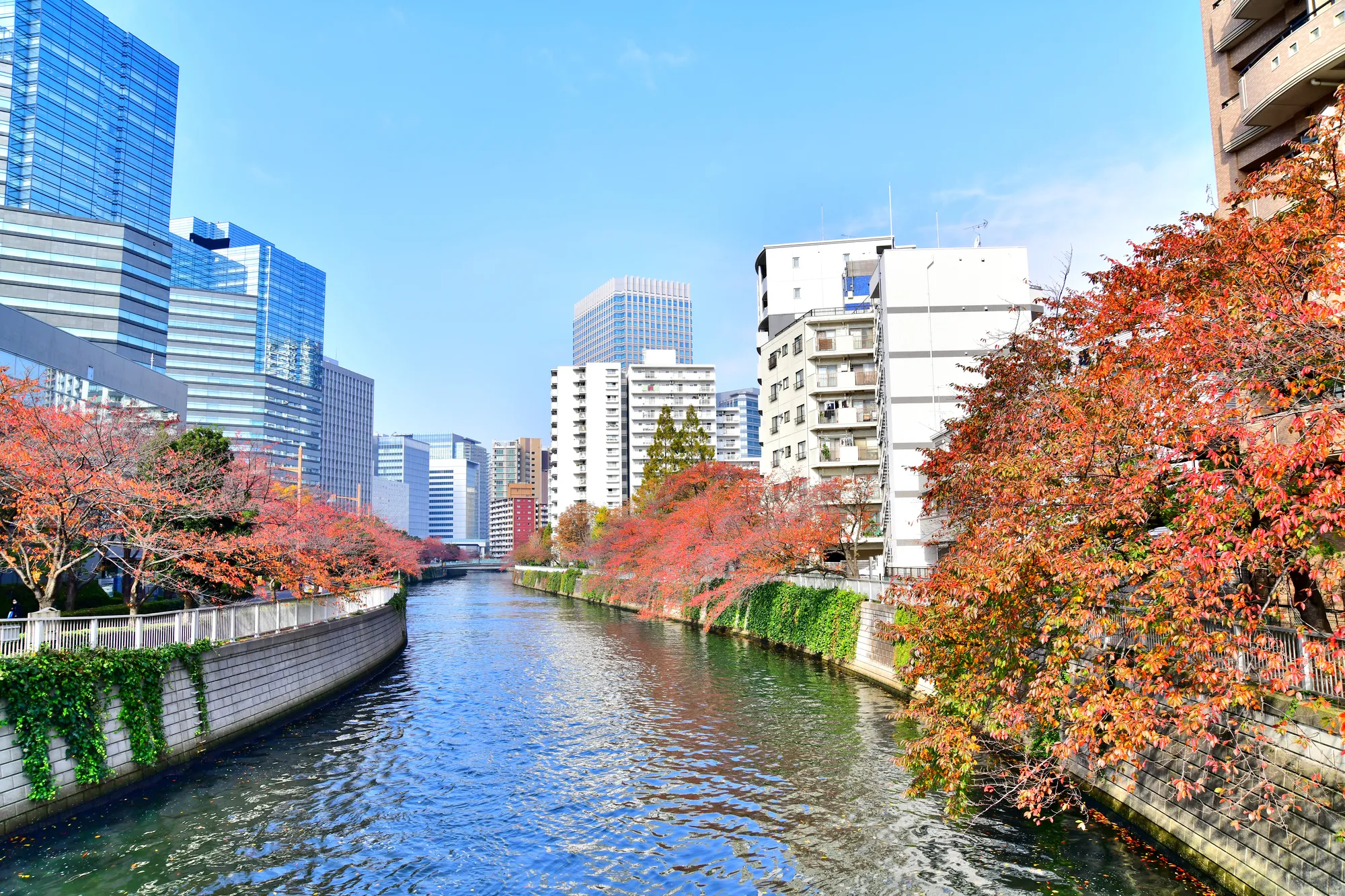 自然も歴史も楽しめる 東京 目黒のおすすめ観光スポット11選 Relux Journal