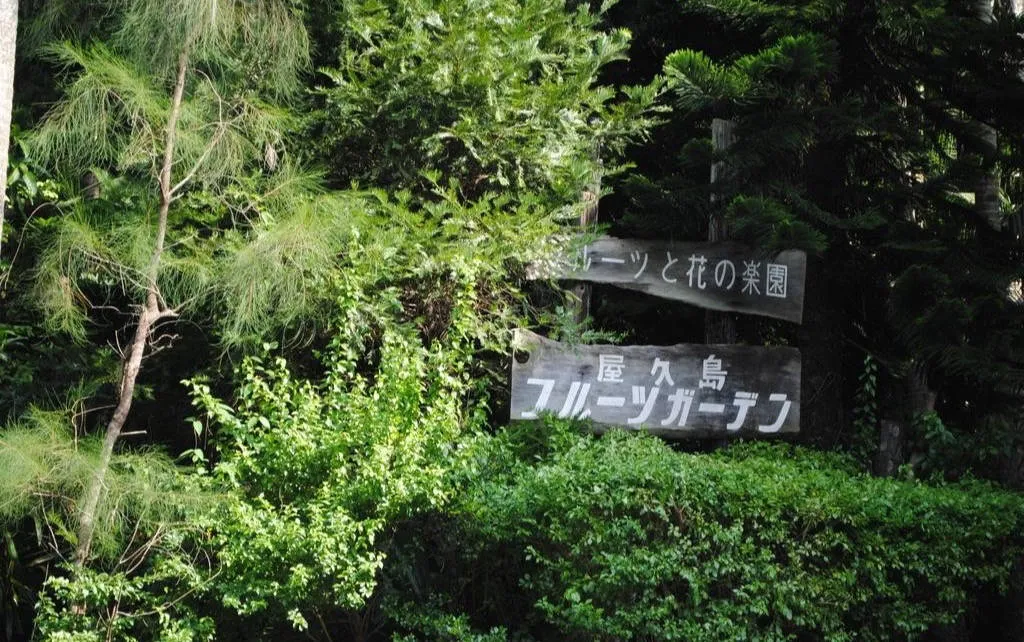 屋久島観光のおすすめスポット19選！世界遺産の魅力を見つけに行こう 