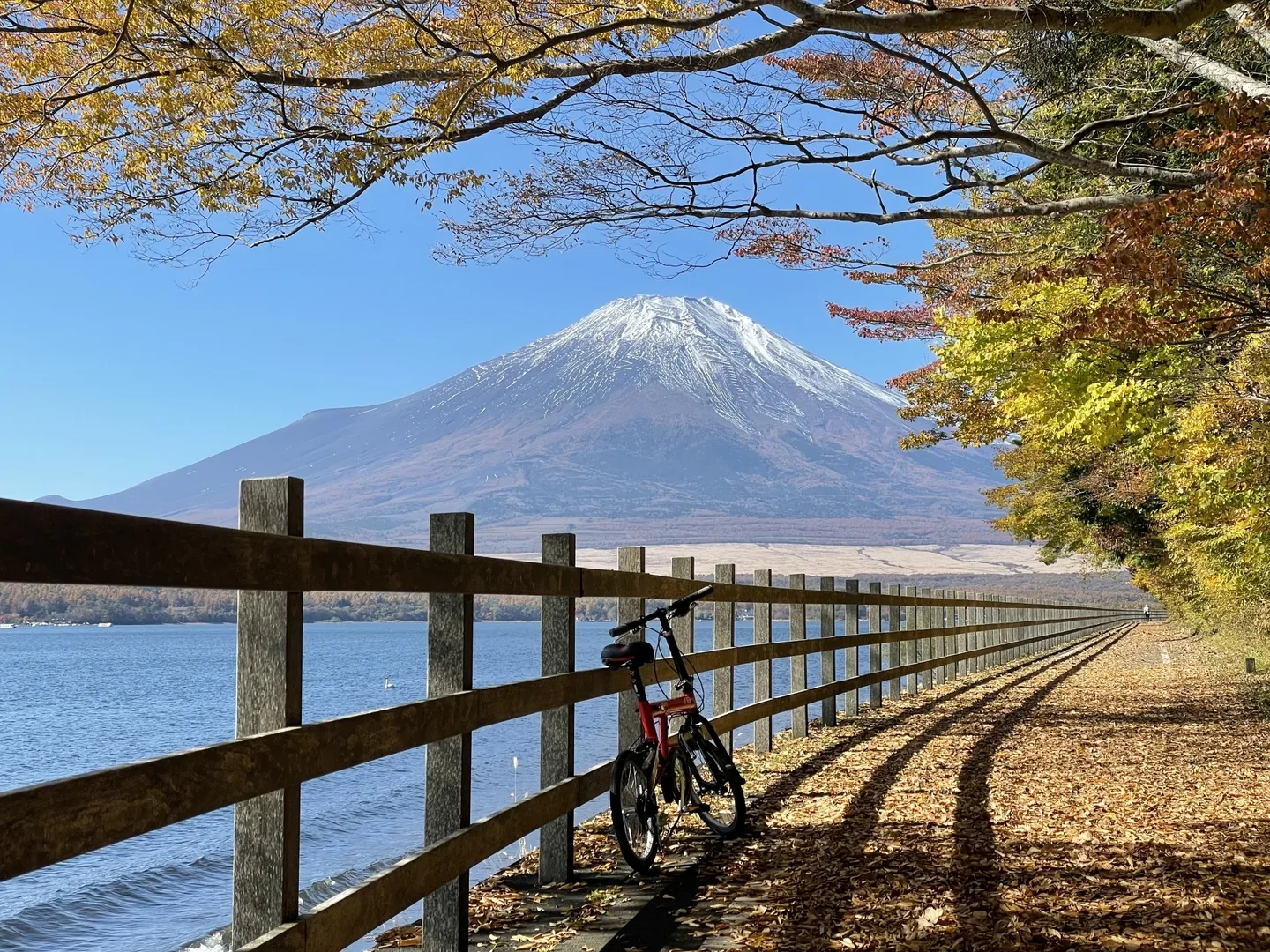 サイクリング