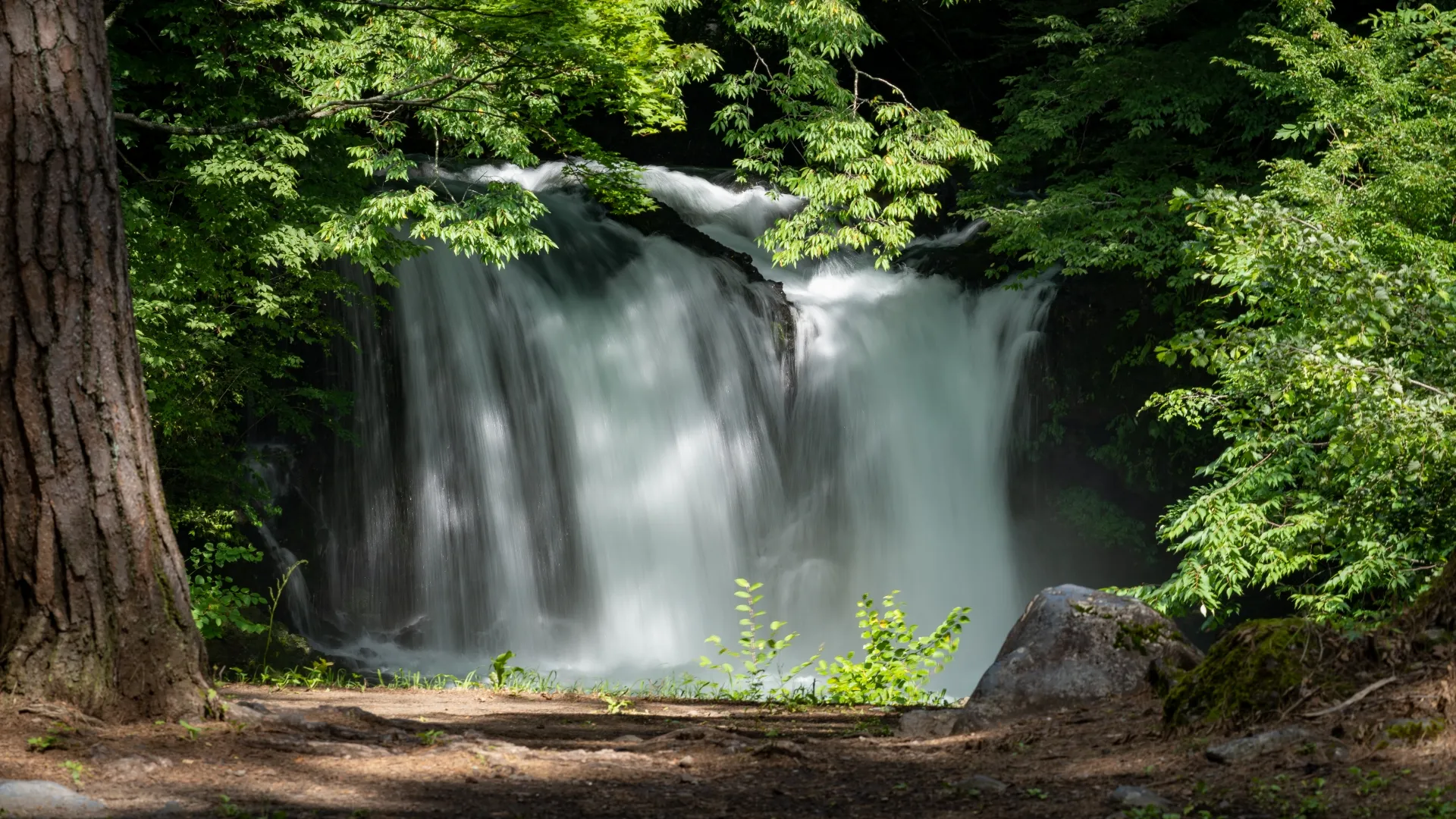鐘山の滝