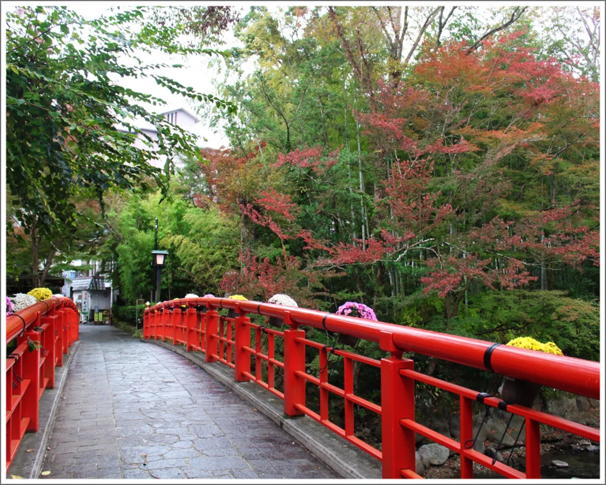 恋の橋巡り