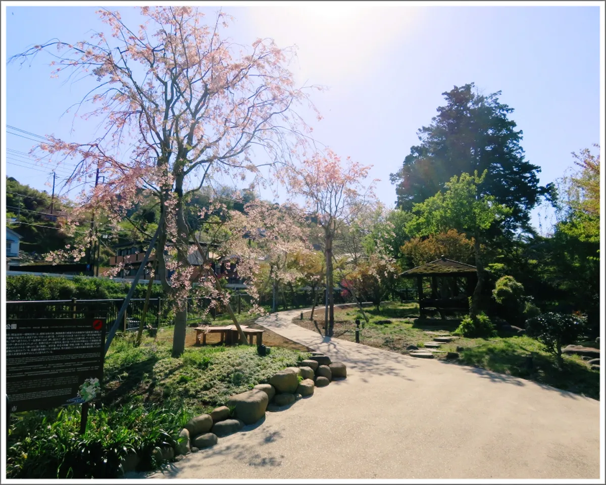 赤蛙公園