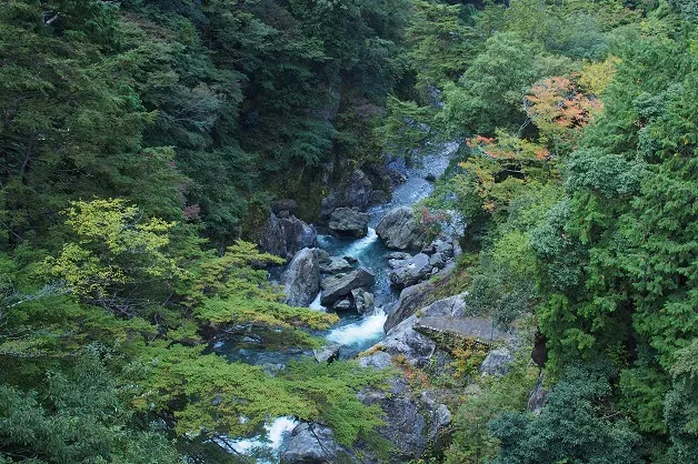 鳩ノ巣渓谷