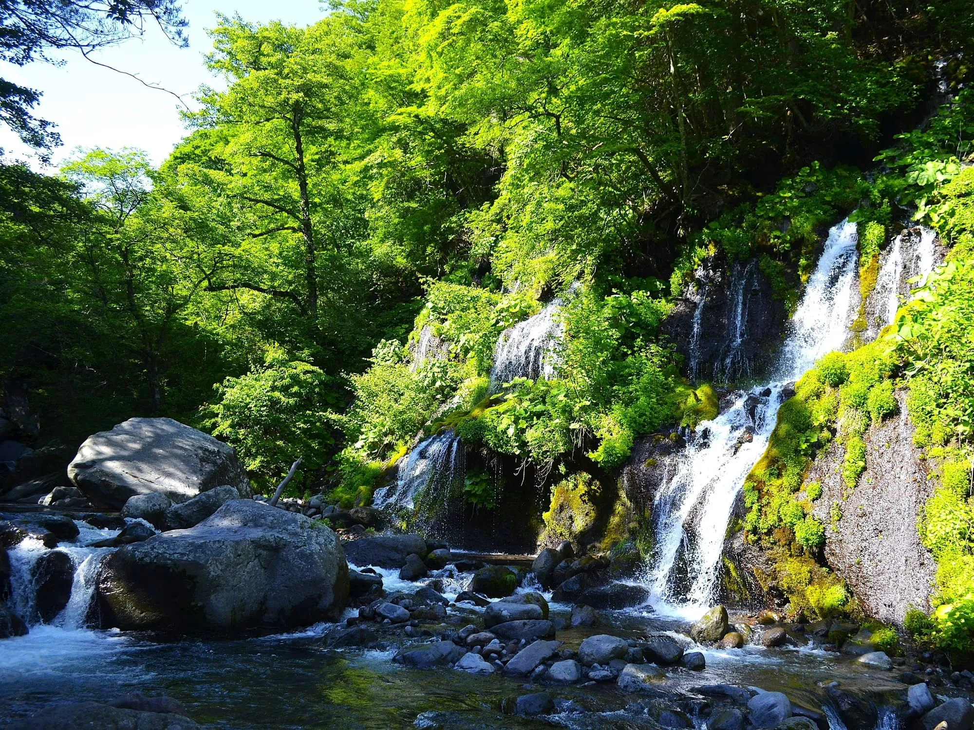 吐竜の滝(川俣川渓谷)
