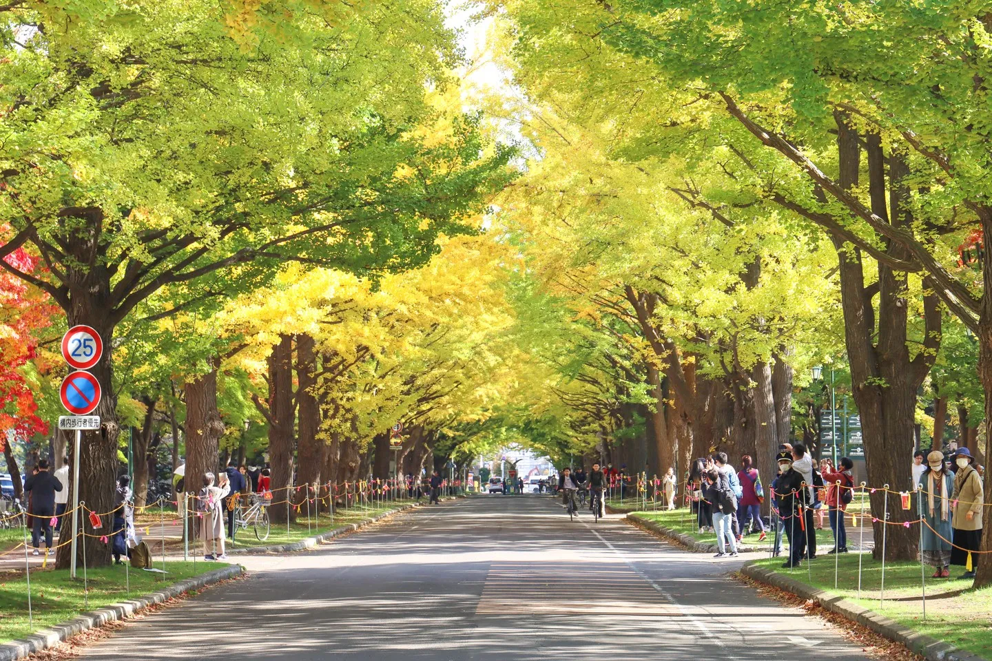 北海道大学