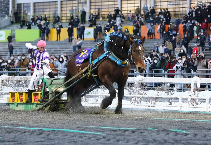 帯広競馬場（ばんえい十勝）