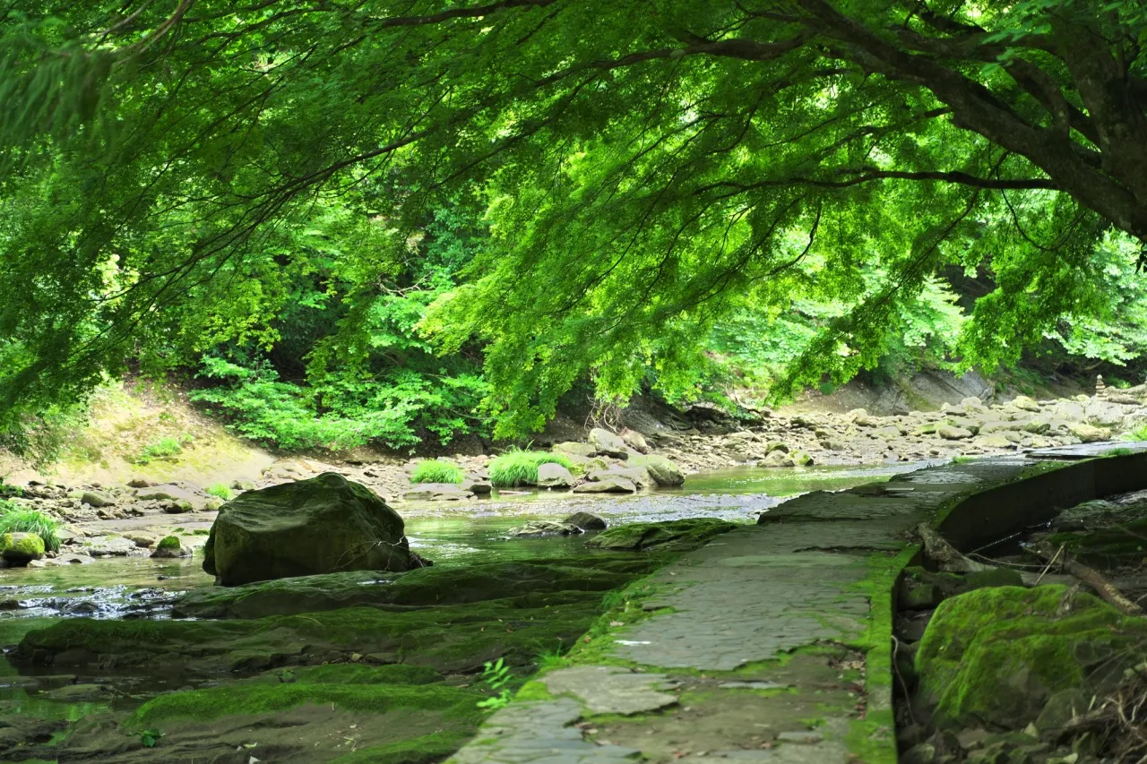 養老渓谷