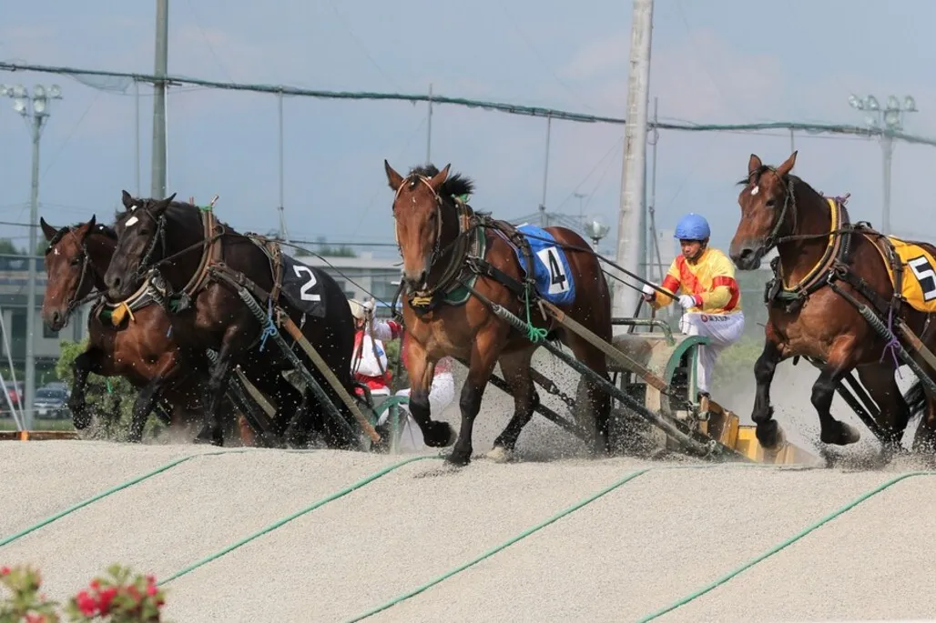 帯広競馬場（ばんえい十勝）